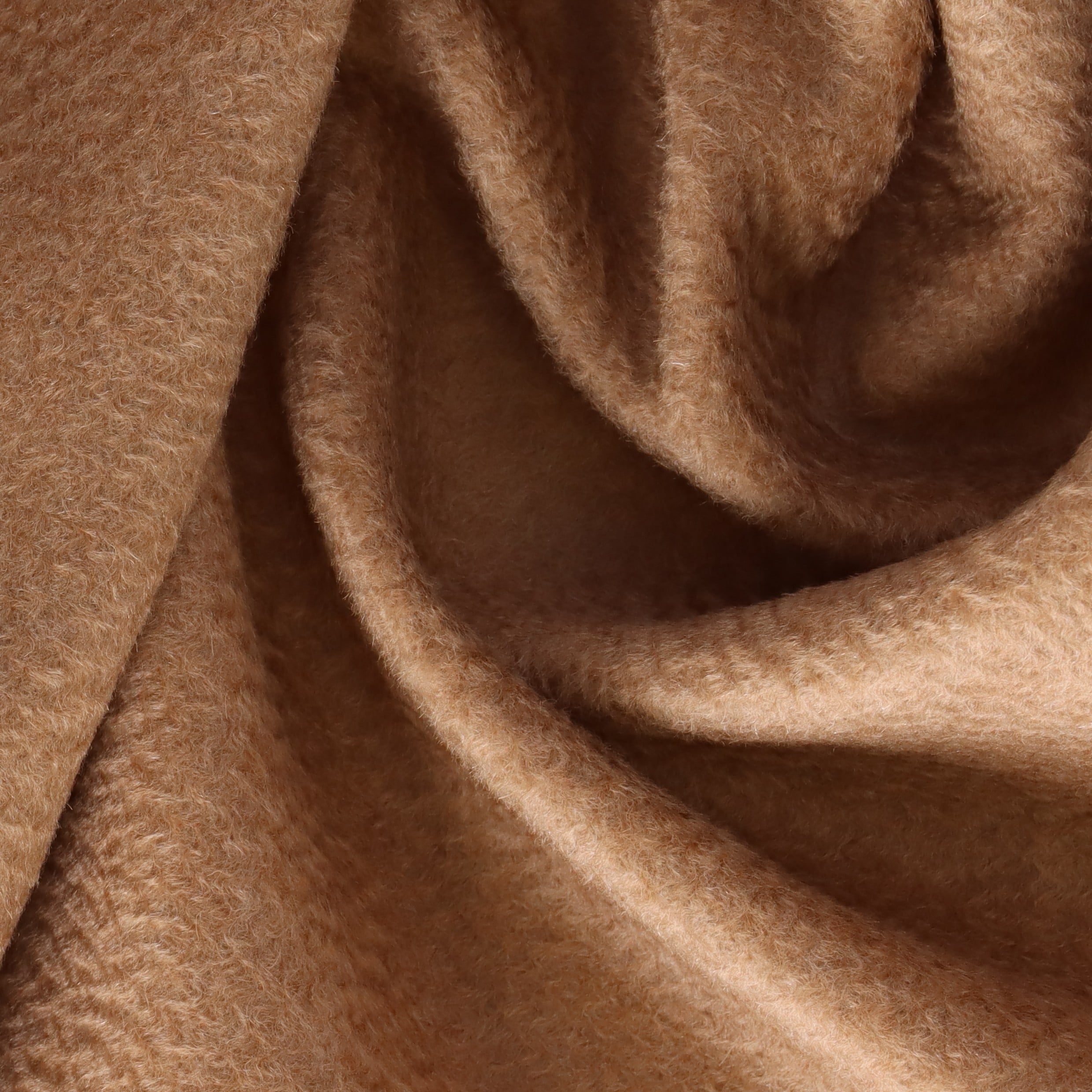 STELLONI CAMELITE by CAMEL