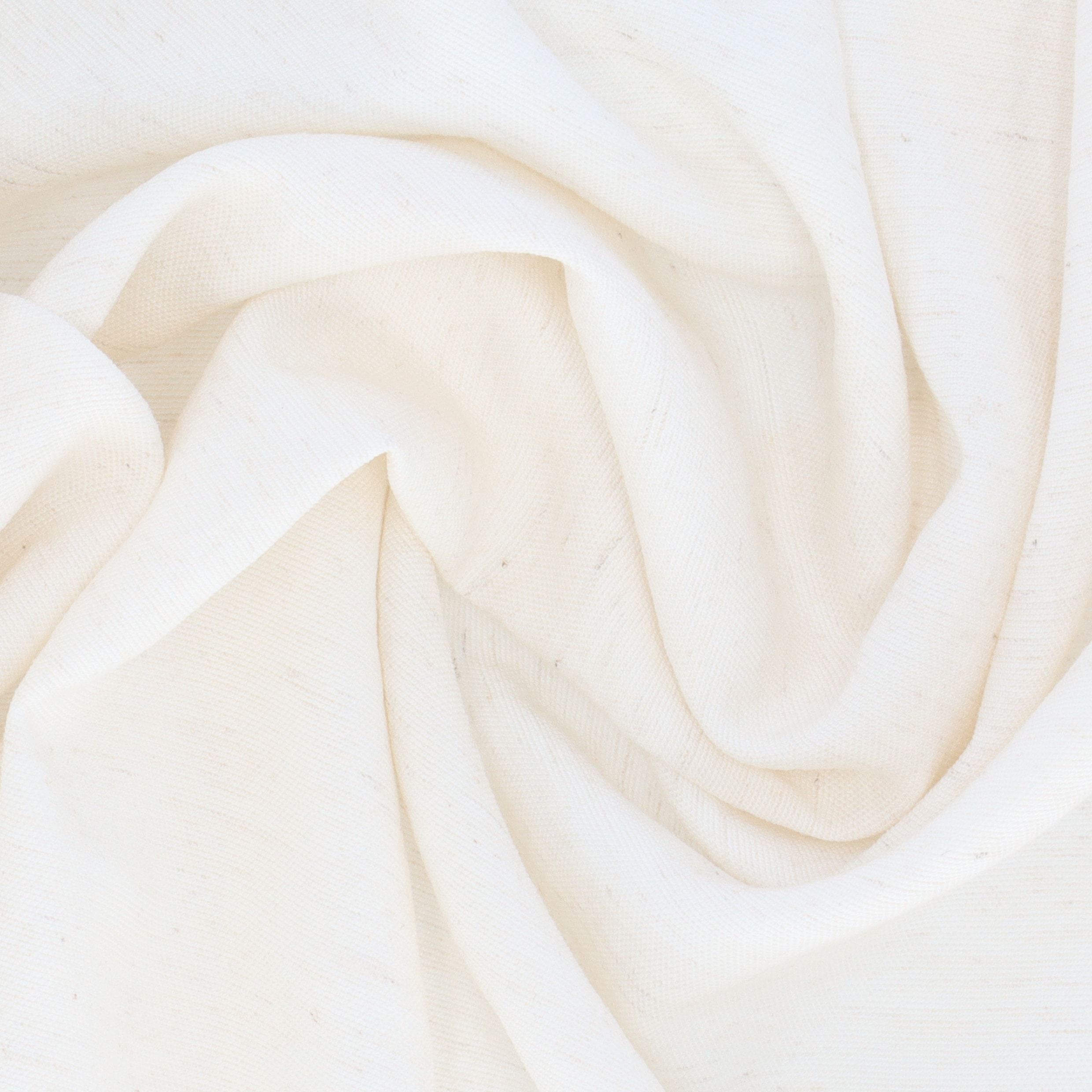 Triacetate×BODY SHELL DRY