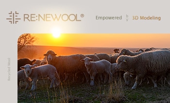 RE:NEWOOL