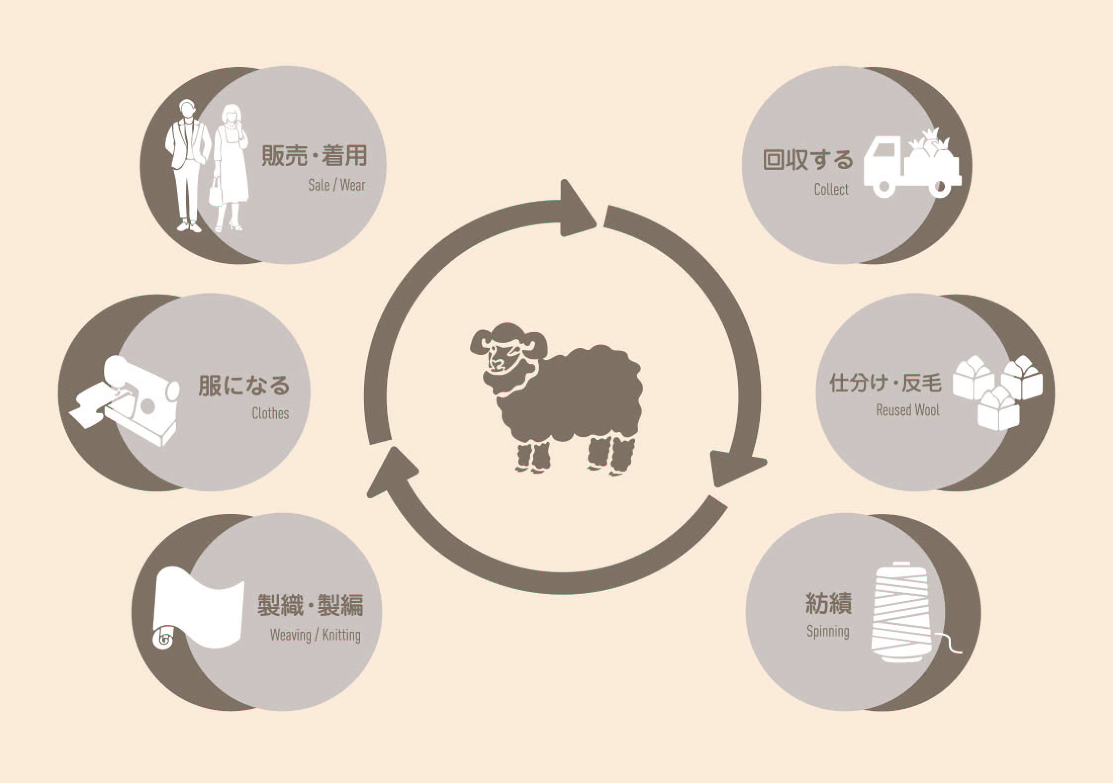 RE:NEWOOL CYCLE
